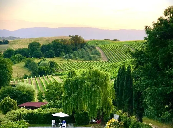Farneto Country house *